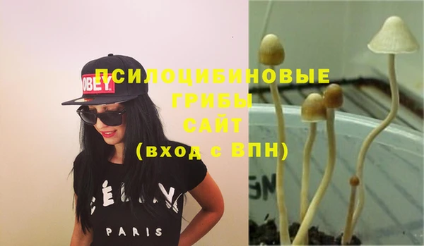 мдпв Бугульма