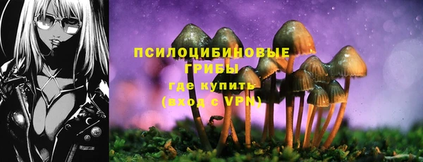 мдпв Бугульма