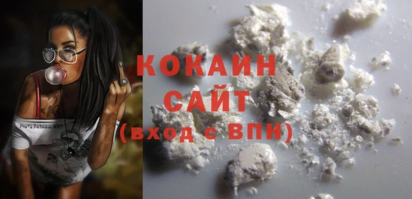 гашик Бородино