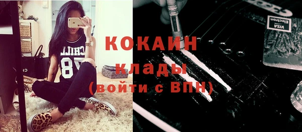 гашик Бородино