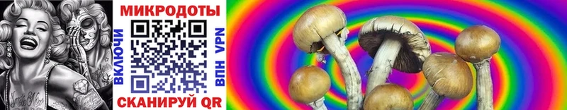 нарко площадка телеграм  Сосногорск  Псилоцибиновые грибы Cubensis 